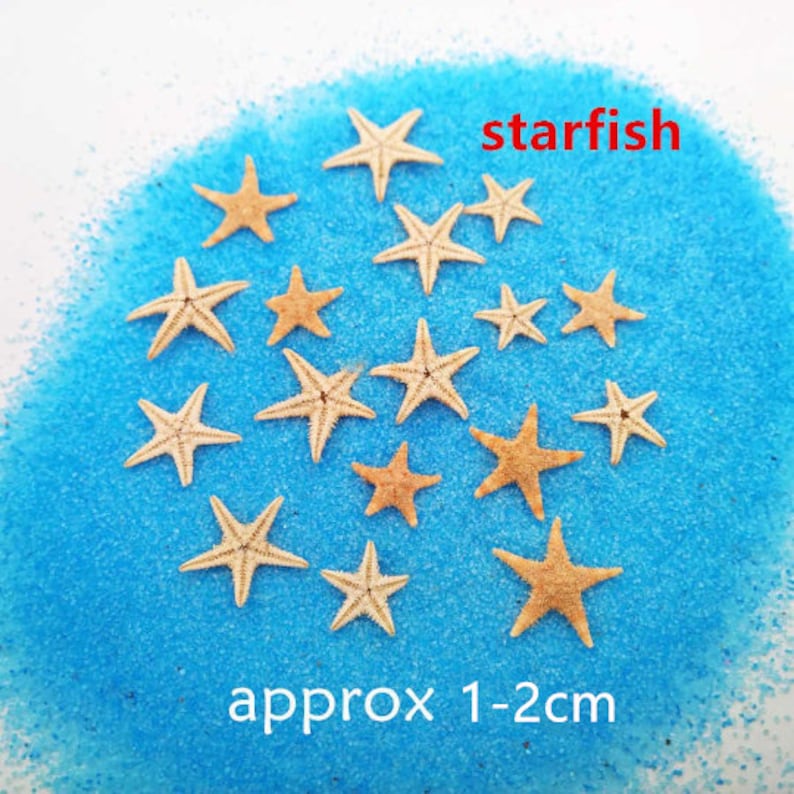 May include: A collection of 17 small, beige starfish on a blue background. The starfish are approximately 1-2 cm in size. The text "starfish" and "approx 1-2cm" is printed on the image.