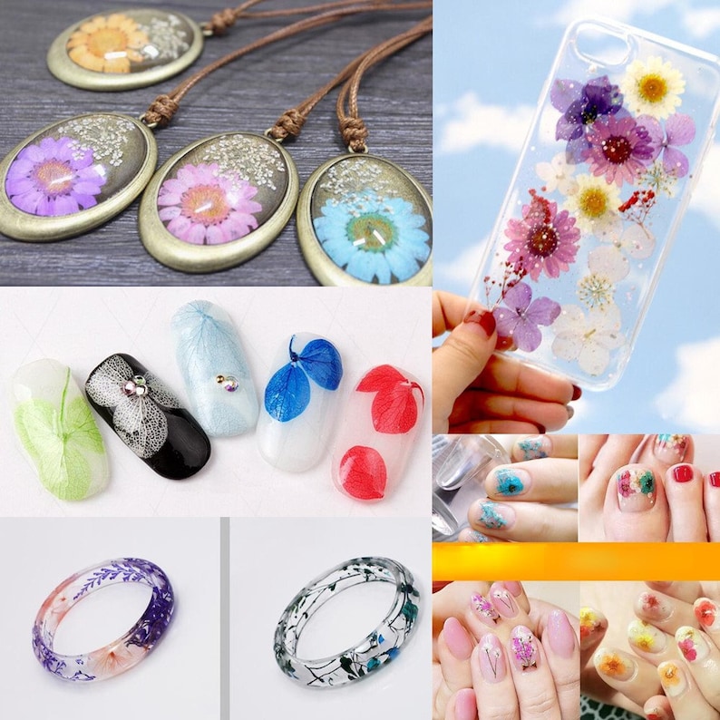 24 pieces per package 0.6-1cm little Narcissus real dried flowers Pressed flowers natural flower in Vacuum drying package, Nail stickers image 5