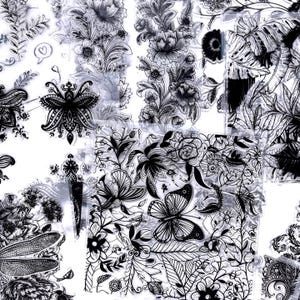Peut inclure: Un motif sans couture présentant diverses illustrations florales et d'insectes en noir et blanc. Le motif comprend des dessins détaillés de fleurs, de papillons, de libellules et de feuilles, créant une esthétique délicate et complexe.