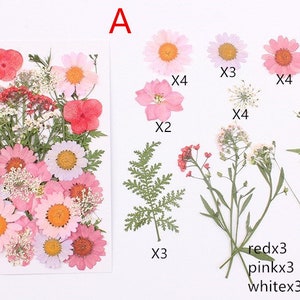May include: Assortment of pressed flowers and greenery, including pink, white, and red flowers. The flowers are arranged in a grid pattern with the quantity of each type listed below.  A is written at the top of the image.