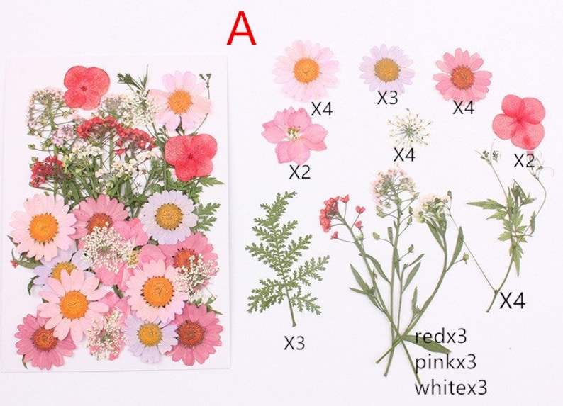 May include: Assortment of pressed flowers and greenery, including pink, white, and red flowers. The flowers are arranged in a grid pattern with the quantity of each type listed below.  A is written at the top of the image.