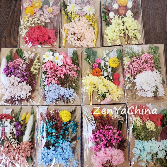 Mixed Natural Dried Flowers Filling Material for Crystal Epoxy