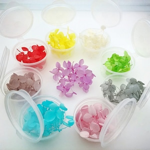 Pode incluir: Conjunto de flores de hortênsia secas em várias cores, incluindo rosa, azul, verde, branco, amarelo e cinza, exibidas em recipientes de plástico transparente com tampas.