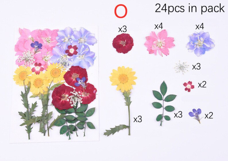 Puede incluir: Un paquete de 24 flores secas prensadas, que incluyen flores rojas, rosas, azules, amarillas y verdes. Las flores est&aacute;n dispuestas en una cuadr&iacute;cula con la cantidad de cada tipo que se muestra debajo.