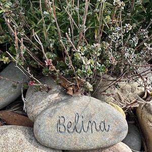 May include: A grey stone engraved with the name "Belina" in cursive script, set amongst other stones and plants. The background includes green foliage and small pink flowers.