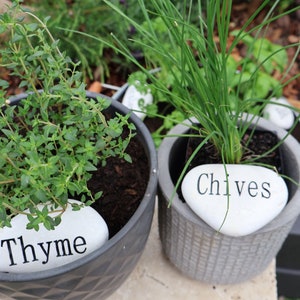 Laser engraved stones | plant markers | Engraved Gifts