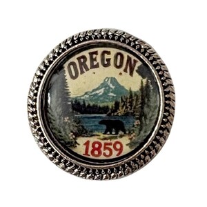 Oregon US State brooch / Tack Pin Rustic Vintage sign picture /NS