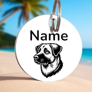 Personalized Laser Engraved Pet ID Tag for Dog or Cat Custom Engraved Stainless Steel FREE Engraved Front and Back