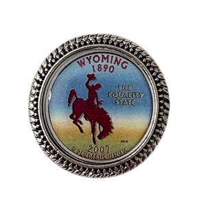 Wyoming US State brooch / Tack Pin /ST02