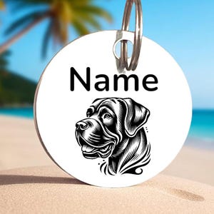 Personalized Laser Engraved Pet ID Tag for Dog or Cat Custom Engraved Stainless Steel FREE Engraved Front and Back