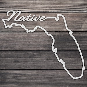 Florida Home Decal / Florida Native Car Decal / Floridian Home Decal / Florida Gift / State Of Florida / Vinyl Home State Bumper Sticker