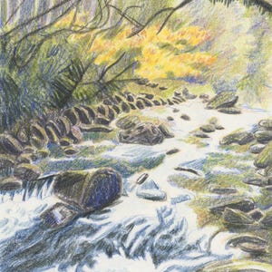 Rauchiger Bergbach 10x18 Postkarte | Nationalparks Illustration | Tennessee Appalachian Ästhetik | Südostwald Wald Kunstdruck