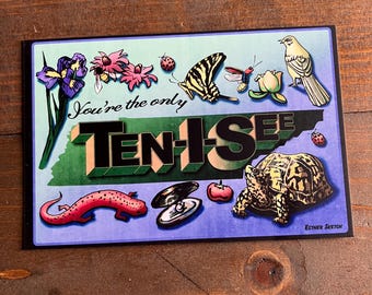 You're the only Ten I See Tennessee valentines Postcard, tennessee state symbols illustration