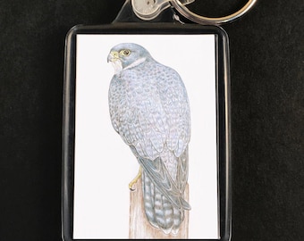 Peregrine Falcon Keyring