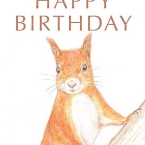 Écureuil roux - Carte d'anniversaire