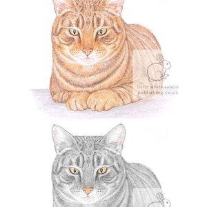 Three Cats - Birthday Card