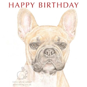 Vinnie the French Bulldog -  Birthday Card