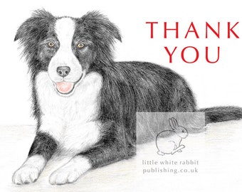 Ivy the Border Collie - Thank You Card