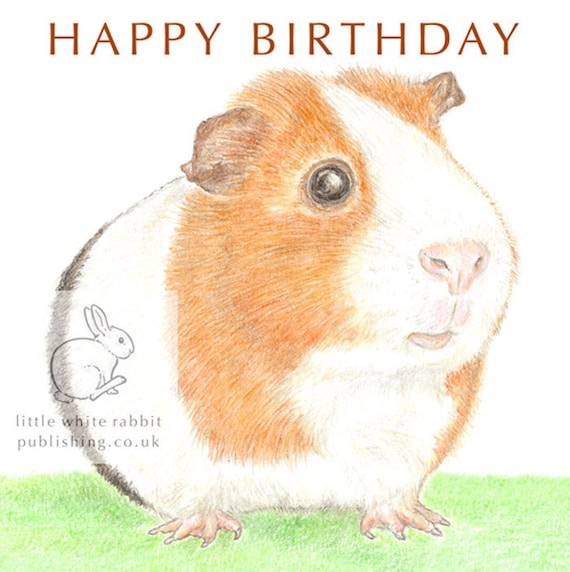 Gilbert Le Cochon Dinde Carte Danniversaire Etsy France
