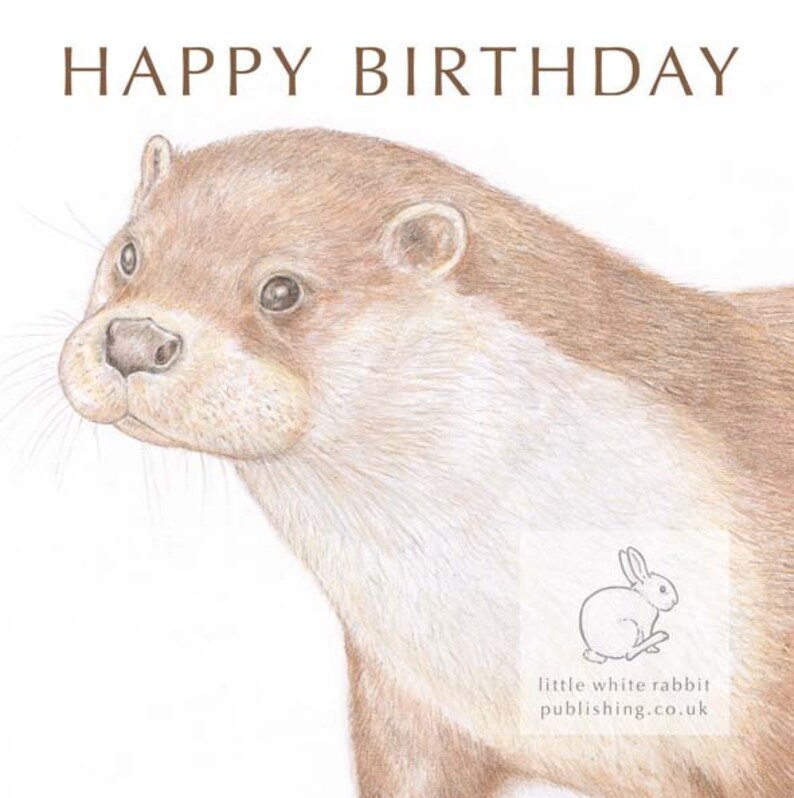 Otter Birthday Card | Etsy