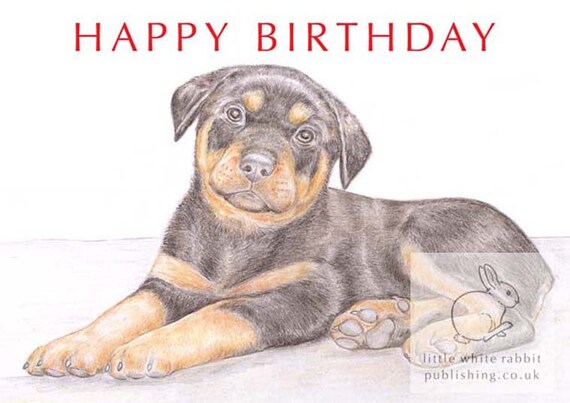 happy birthday with rottweiler