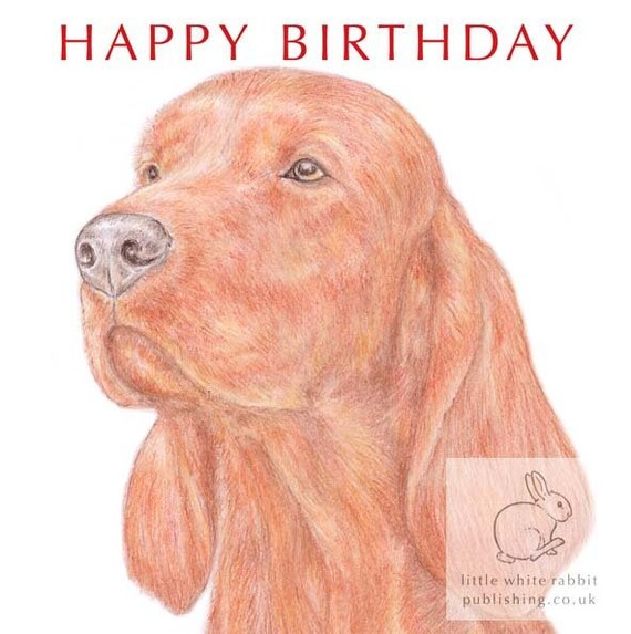 happy birthday irish setter