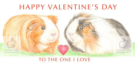Long Haired Guinea Pigs Valentine Card Etsy