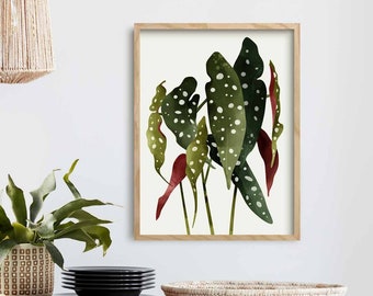 Begonia Maculata Plant Art Print, Modern Botanical Wall Art Prints, Framed Tropical Kitchen Wall Decor