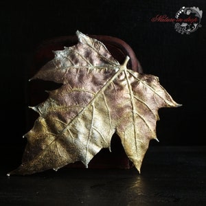 Vergoldete Ahorn Brosche. Brosche mit echtem Blatt. Vergoldete. Botanischer Schmuck. Natur inspiriert. Galvanik.