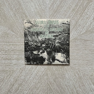 Natural Sounds Of The Mountain Lake Sanctuary And Tiger Creek 7 Inch 33 RPM Record