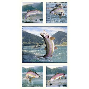 May include: A framed print featuring several images of rainbow trout leaping out of water. The fish are depicted with vibrant colors and details, set against a backdrop of a river and mountainous landscape. The artwork captures the dynamic movement of the fish.