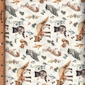 Wildwood ,raccoon,owls, squirrels,fox,45&quot; wideListed  @1/2 yard,Clothworks,Y4371-57