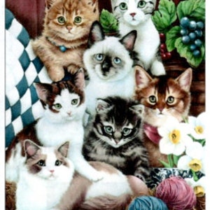 May include: A group of seven kittens of various breeds and colors, including tabby, Siamese, and calico, are arranged in a close-up shot. They are set against a backdrop of a patterned quilt, grapes, and flowers. The text "Cuddly Kittens" is at the bottom.