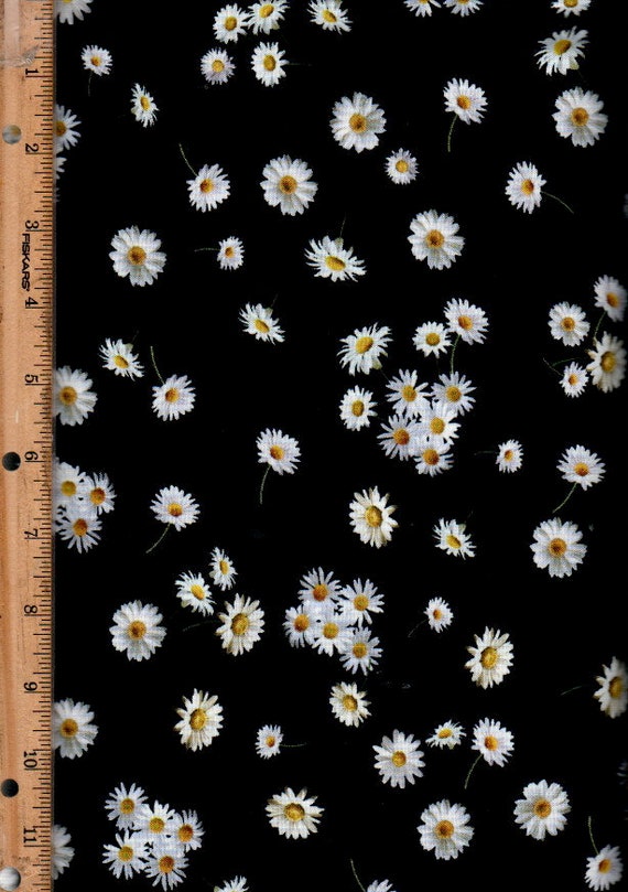 Sunflower Daisy, 45