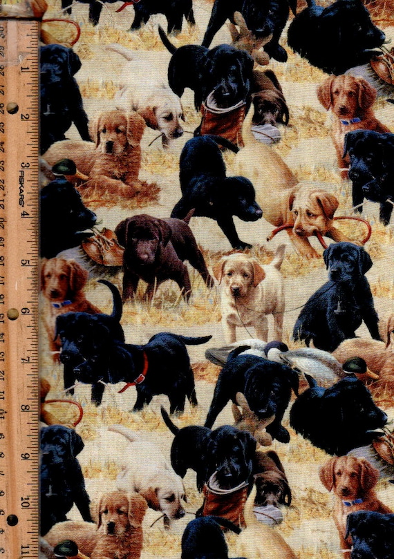 Dogs, Puppies for Sale 45