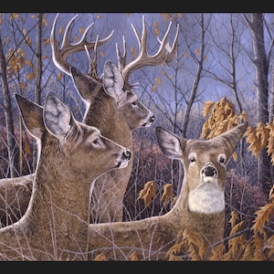 Cautious Moments, Deer Panel 36&quot;x45&quot;