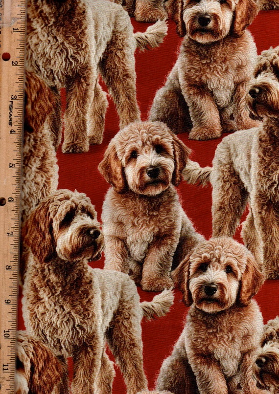 Labradoodle Dogs, Listed @1/2 Yard 45
