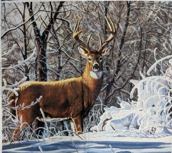 A deer / 鹿 Sika deer - Wikipedia