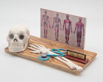 Anatomy Business Card Holder
