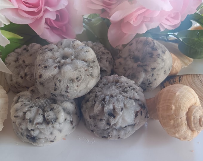 Coconut Milk, Lavender and Mint Soap!