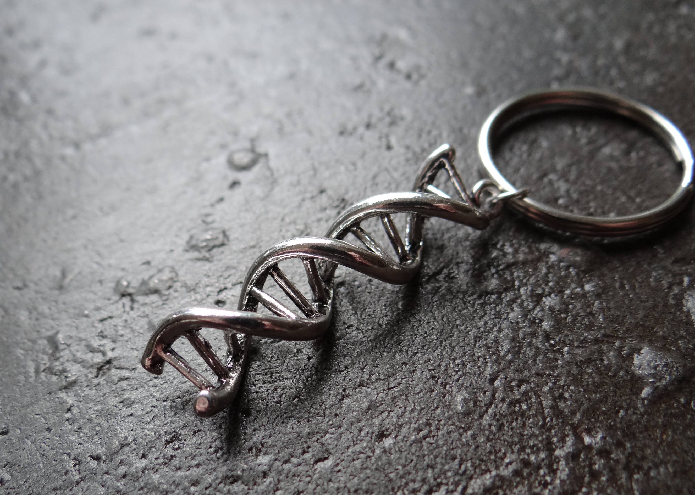 DNA Keyring // Double Helix Keychain // Biology // // Etsy