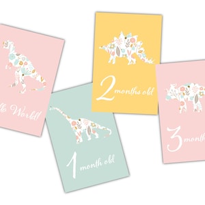 Dinosaur Baby Milestone Cards, Ensemble de 13 cartes de mois imprimables pour bébé, cadeau de douche de bébé pour la nouvelle maman, nouveau-né présent, accessoire de photo
