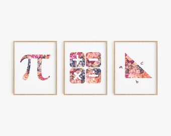 Math Wall Art - Set of 3 Prints - Office or Classroom Decor - Choose Framed or Unframed