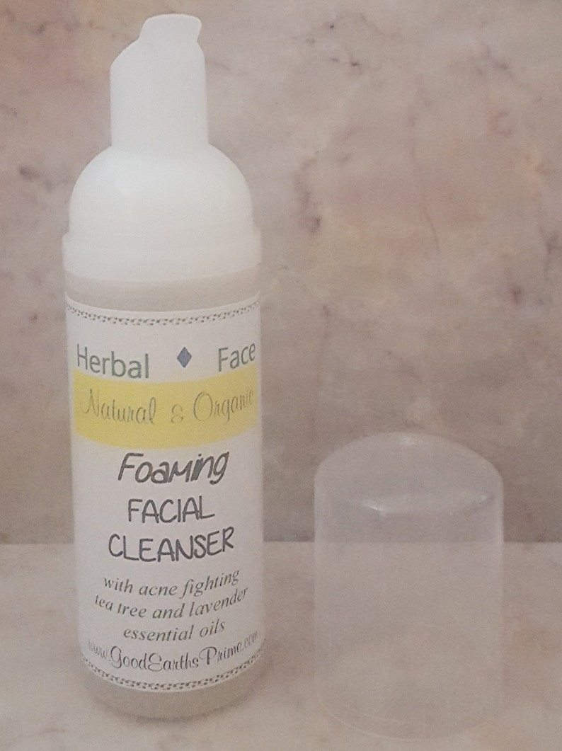 ORGANIC FOAMING FACE Wash vegan acne fighting cleanser ...