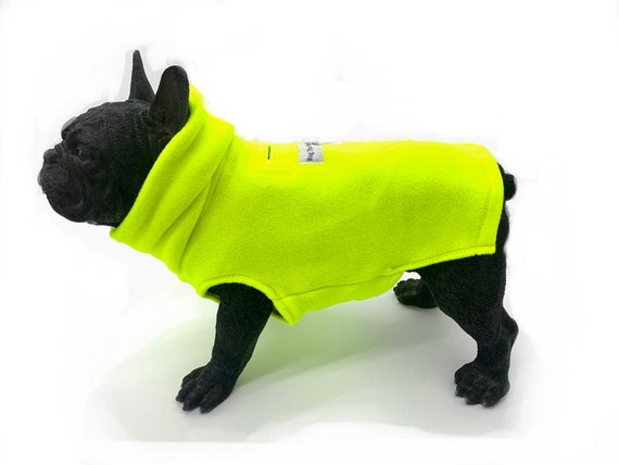 yellow dog sweater