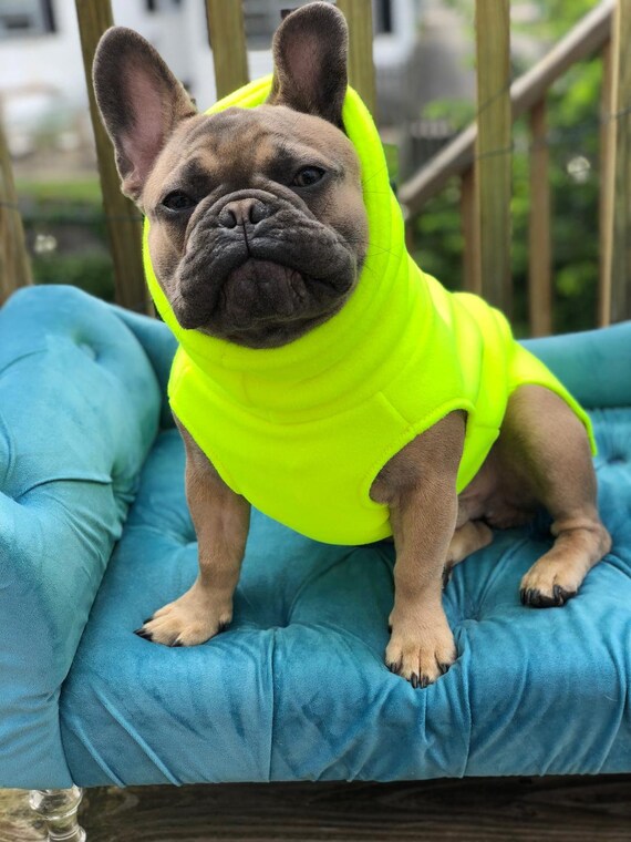 Polartec dog sweater Clearance