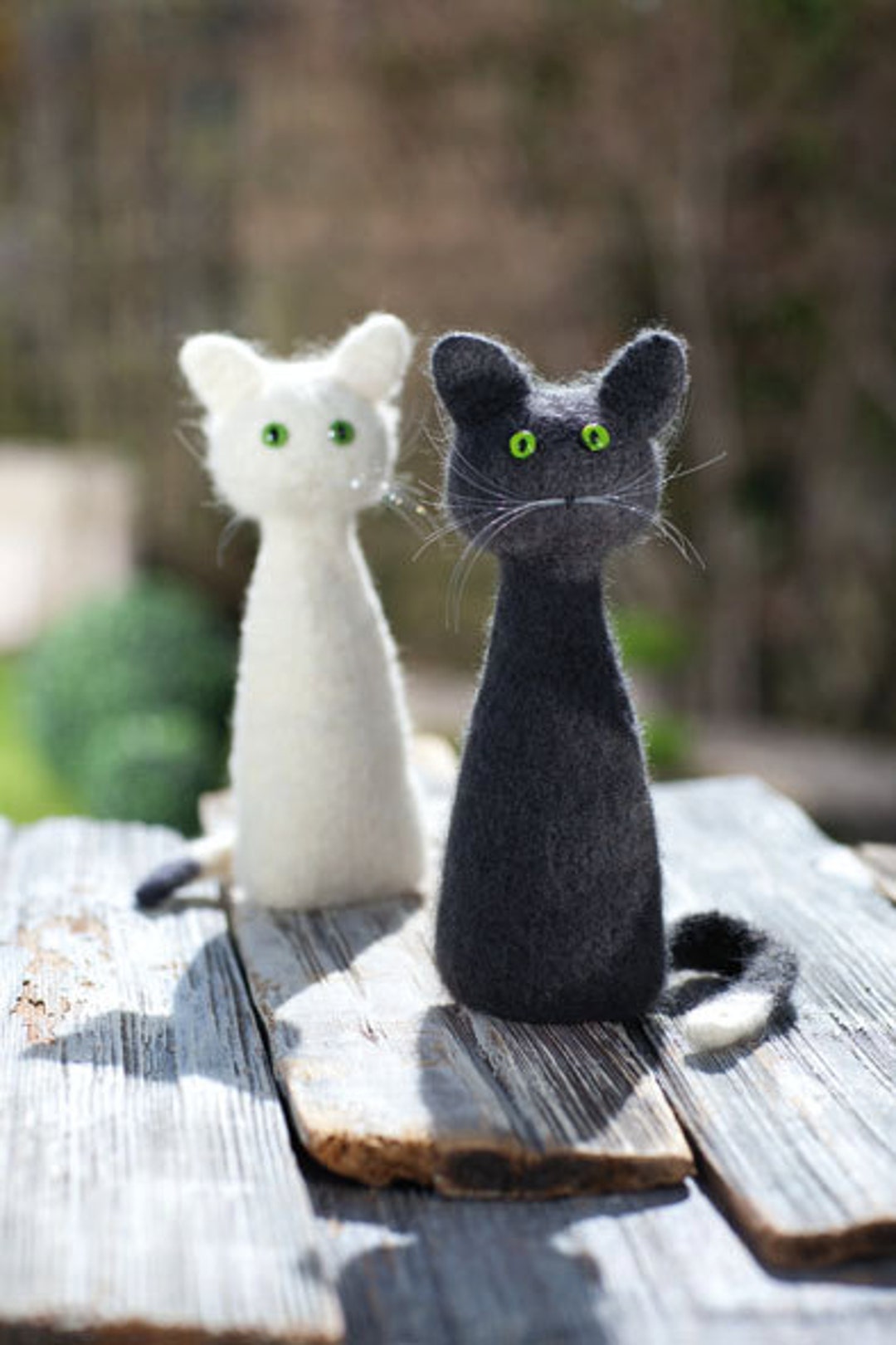Filmed Cat to Use as a Gift Souvenir Window Decoration Can - Etsy