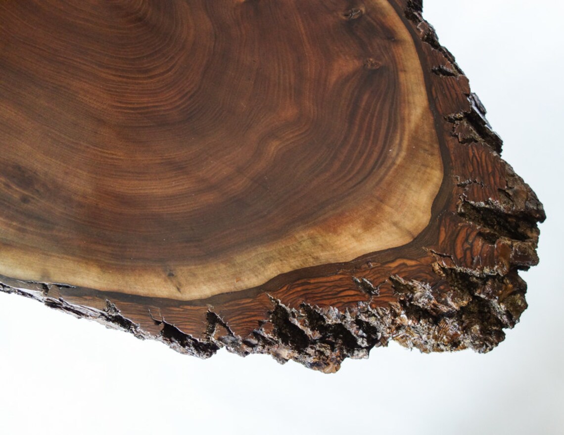 Artisan wood slice table live edge side table tree trunk Etsy