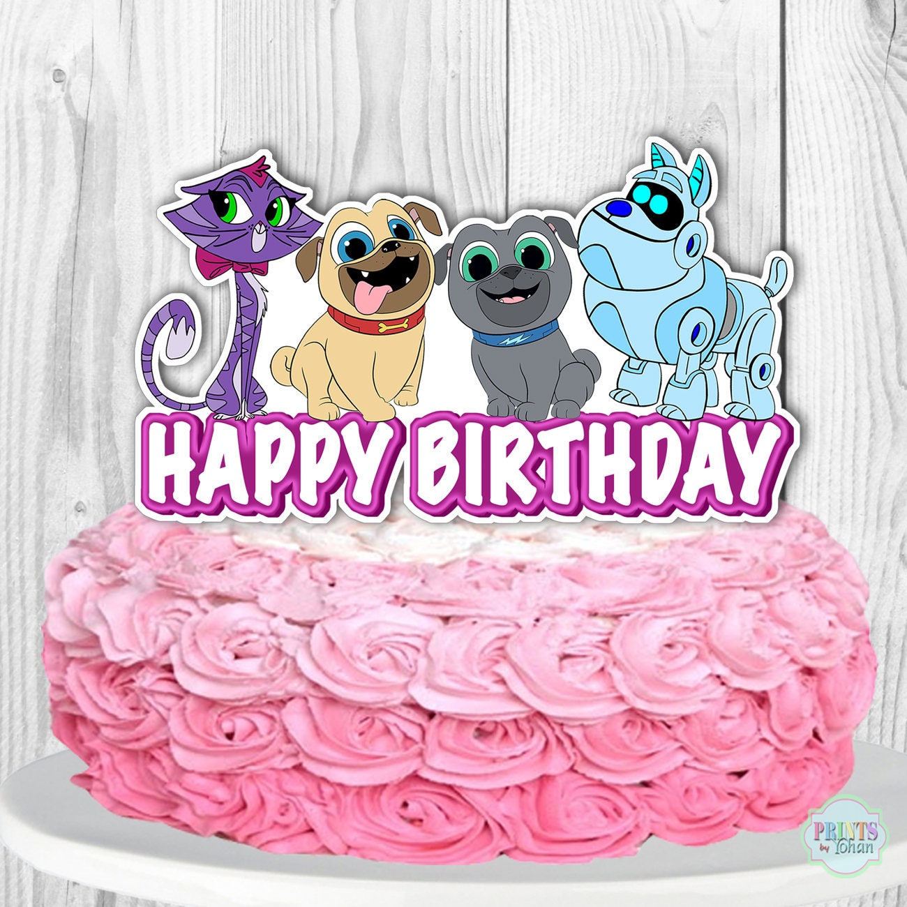 dog consumed chocolate