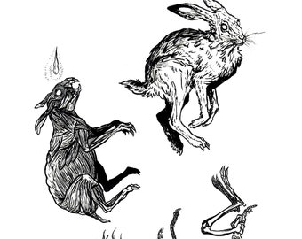 HIKARI | Original watercolor illustration